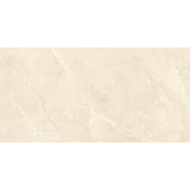 ArdeStone Песочный мат. 60x120 R