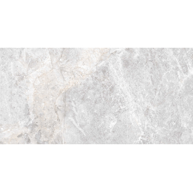 Espresso Silver Pol (G) 60x120 R