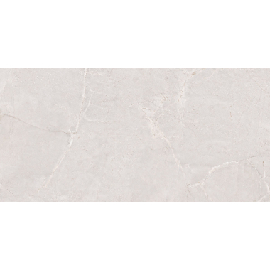 Manresa Cold Pol (G) 60x120 R