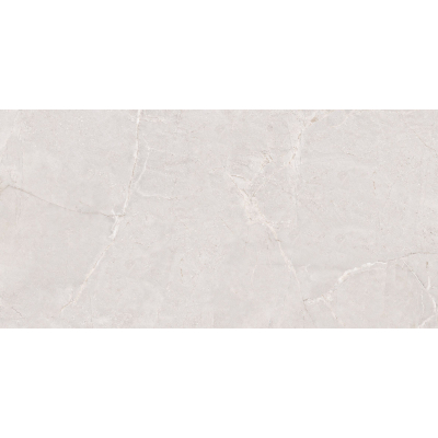 Manresa Cold Pol (G) 60x120 R