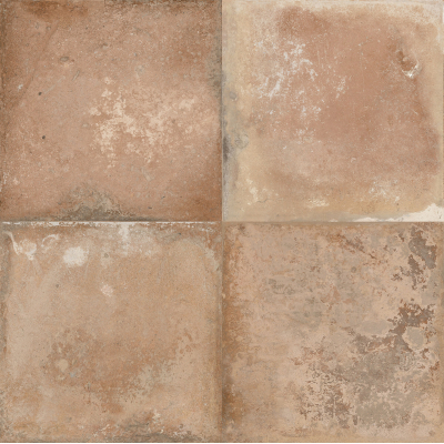 FS Storia Natural-4 22.3x22.3