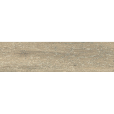 Dream Wood Brown Mat DW-02 14,6x60 R