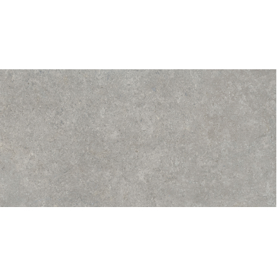 SandStone Серый мат. 60x120 R