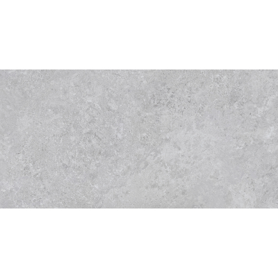 Borga Silver Mat 60x120 R