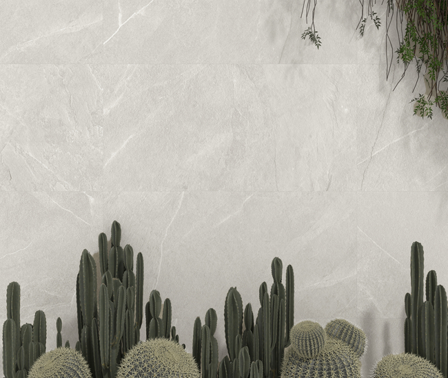 Mythe White Mat 60x120 R