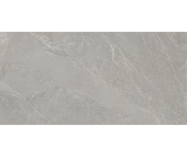ArdeStone Серый мат. 60x120 R