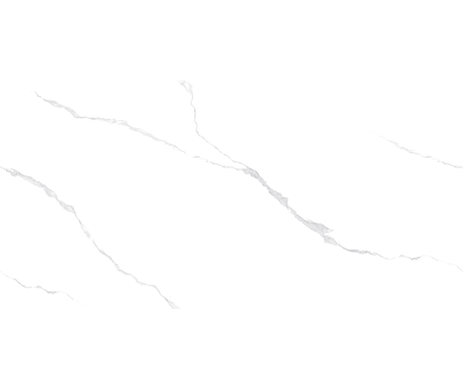 Ice Vein White Mat 60x120 R