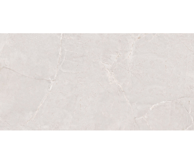 Manresa Cold Pol (G) 60x120 R