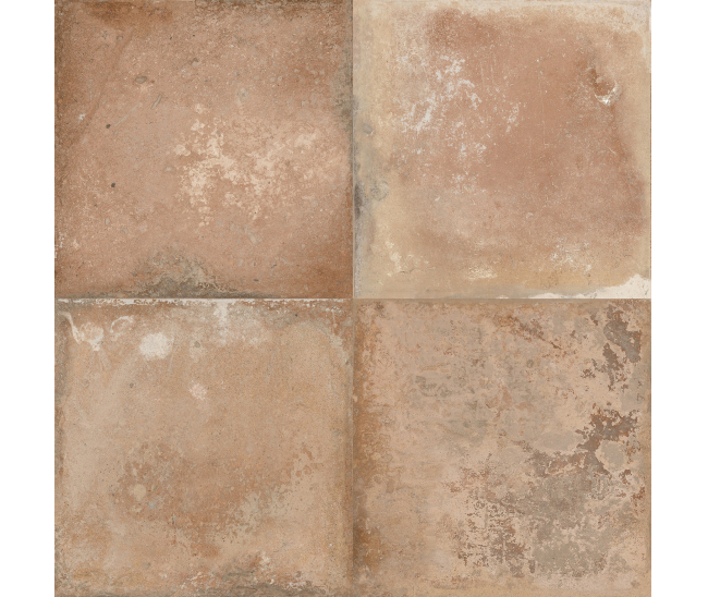 FS Storia Natural-4 22.3x22.3