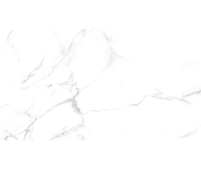 Royal Statuario Mat 60x120 R (JZYA612001TM)