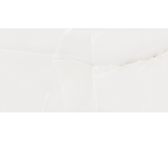 Oval Onyx Bianco Pol (G) 60x120 R