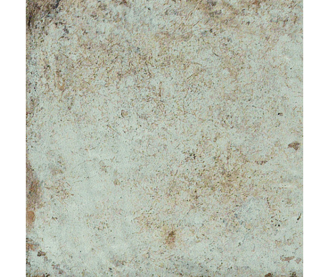 Havana Sugar Cane 40x40