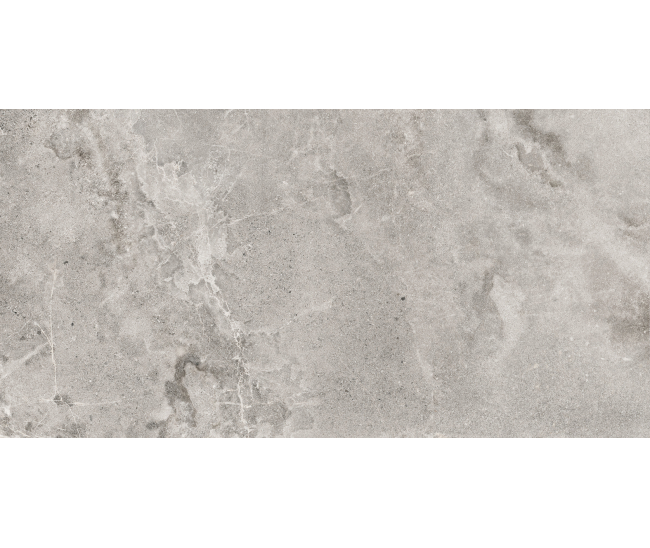 Dome Ash 60x120 R