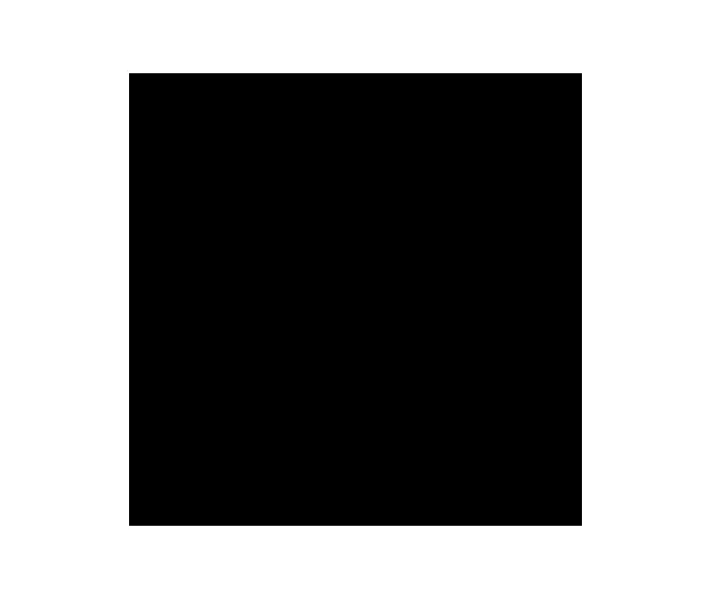 Super Black Color Body Pol 60x60 R
