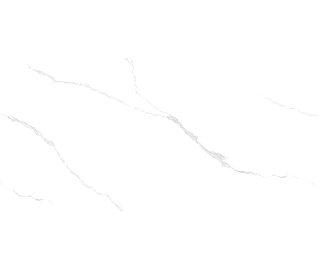 Frost White Pol 60x120 R