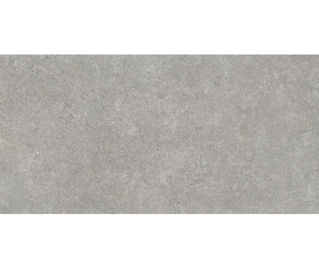 SandStone Серый мат. 60x120 R