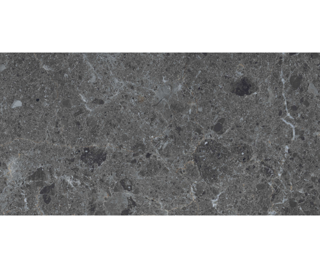 Grigio Billiemi Nero Pol (G) 60x120 R